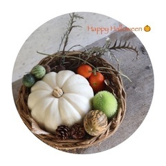 【ハロウィンセット】＊ハロウィン＊季節のアイテム＊おもちゃカボチ...