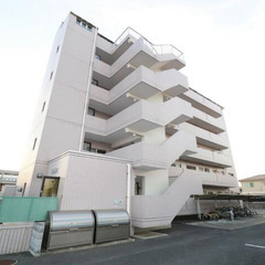  🌺入居初期費用3万円🌺無料敷地内駐車場有⭐️水戸市⭐️3DK⭐...