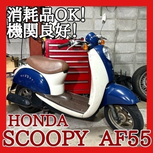 ☆安心の点検整備.動画☆ホンダ スクーピー AF55☆少ないブルーカラー！消耗品OKで即乗り出しのお買い得車両！