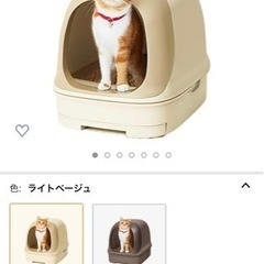 猫トイレ