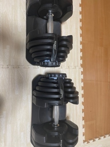 可変式ダンベル(2個セット)