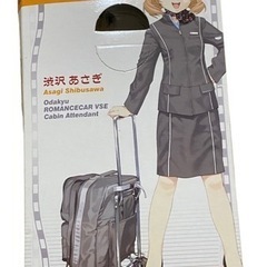 【新品】鉄道むすめ　渋沢あさぎの画像