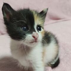 美形揃いの4兄妹　ただいまステイ中❢