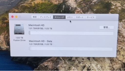 ジャンク！iMac (8GBメモリ 1TSSD, 21.5-inch, 2017)