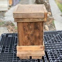 （ヒノキ）ミツバチ飼育用 養蜂待受箱（蜜蜂 みつばち）⑦の画像