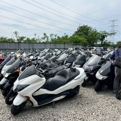 YAMAHA ヤマハ MAXAM マグザム（CP250）SG17...