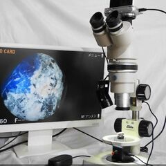 ニコン実体顕微鏡（簡易偏光） SMZ-10、ミラーレス・デジカメ...
