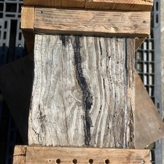ミツバチ飼育用 養蜂待受箱（蜜蜂 みつばち）18の画像