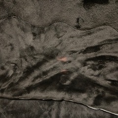 募集者殺到中！こたつ リバーシブル の画像
