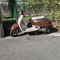 整備済み　ジョルノ