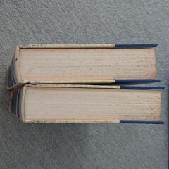 英英辞典 The New WEBSTER DICTIONARY OF THE ENGLISH LANGUAGE 2冊セットの画像