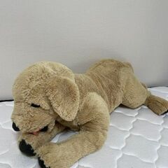 IKEA　ゴールデン　７０CM　ぬいぐるみ　美品