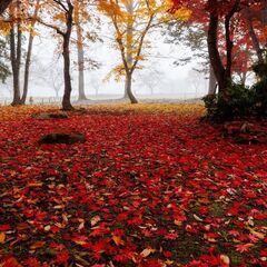 🍁🍂🍁建築系軽作業スタッフ募集中🍁🍂🍁　　⭐毎日❗　1日だけ❗　...