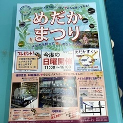 めだかまつり