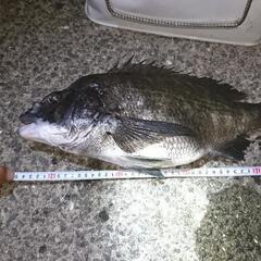 釣りライングループ（Nagasakiていぼう部）メンバー募集!夏の陣！