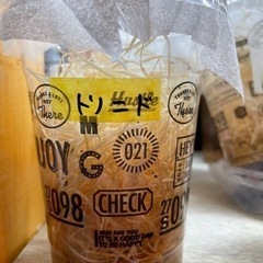 トリニドショウジョウバエ　1カップ　No2
