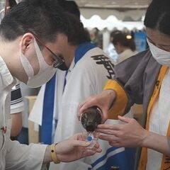 【日本酒利き酒イベント】第4回 和酒フェス@大阪ベイタワー11月12日（土）、13日（日）開催！ − 大阪府