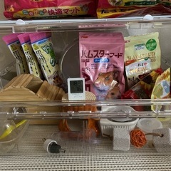 ハムスター飼育セット　写真に映っているもの全て差し上げます。の画像