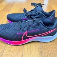 NIKE エアズームペガサス38 メンズの画像