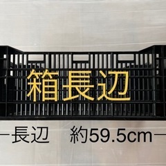 ユリ球根　空きコンテナ　黒コンテナ　１箱100円の画像