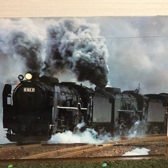 SLつばめ　写真パネルの画像