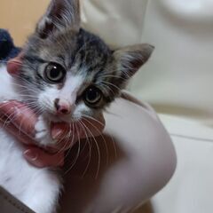 家族になって下さい🙇‍♀