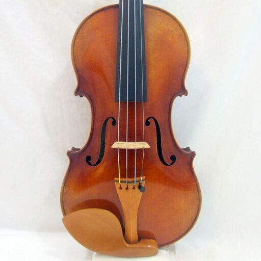 slide_7490violin__1_.jpg