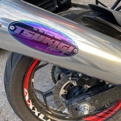 カワサキ NINJA250SLの画像