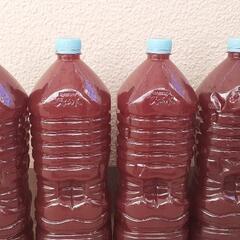 メダカの餌　ゾウリムシ分離器　種水&PSB500ml　ロートとセットの画像