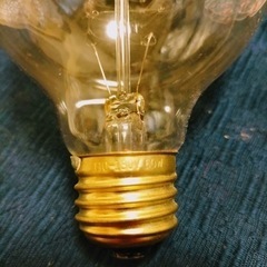 【アンティーク】エジソン電球の画像