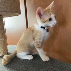 仲良し🍒男の子たち(お話し中)