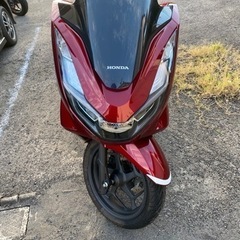 PCX125の画像