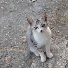 【里親さま決まりました！】