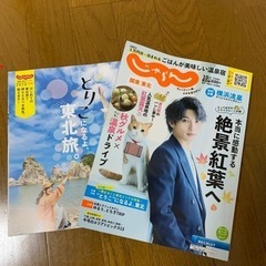 じゃらん　10月号一万円台〜泊まれる