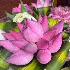 Kết bạn với người Việt Nam! ベトナム人の友達募集！ - 名古屋市