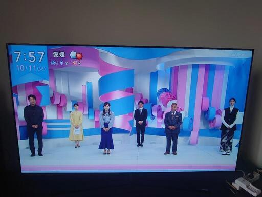 ハイセンス 有機ELテレビ 55インチ