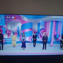 ハイセンス 有機ELテレビ 55インチ