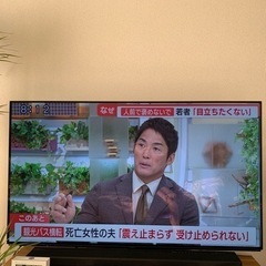 パナソニック　VIERA 55型