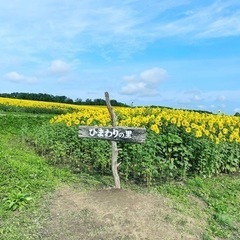 1ヶ月のイベントバイト◆1,200円！◆お祭り気分で楽しい！の画像