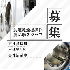 長期活躍できる正社員/リネン洗い場スタッフ/男性活躍中の画像