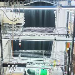 LED水耕栽培セット