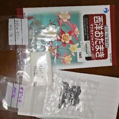 オダマキの種　西洋オダマキ　約600粒