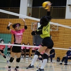 R4年11月3日（祝）  体験教室🏐やります‼️ - メンバー募集