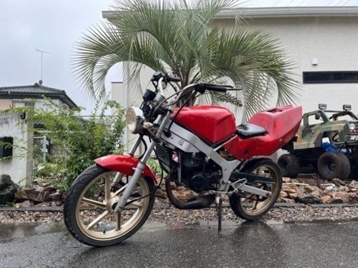 ‼️販売中‼️HONDA NS-1 バイク　2スト　レーサー　中古　始動確認　現状