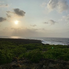 キャンプでのんびり