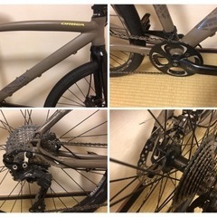 ORBEA carpe の画像