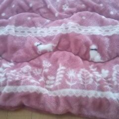 こたつ掛け布団の画像