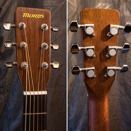 お取置中】MORRIS MF-256 TS