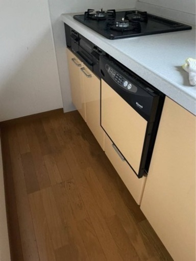 写真に写ってるキッチンどうですか？写真に写ってるものが全部です。