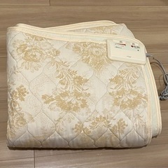 アテックス ATEX IONess イオネス ATX-HM100...